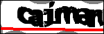 متن برای شناسایی